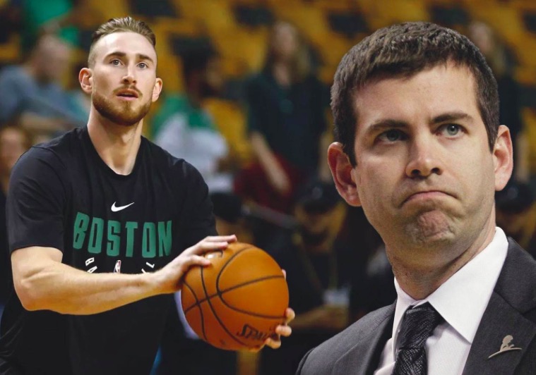 这些词汇不 这些词汇不